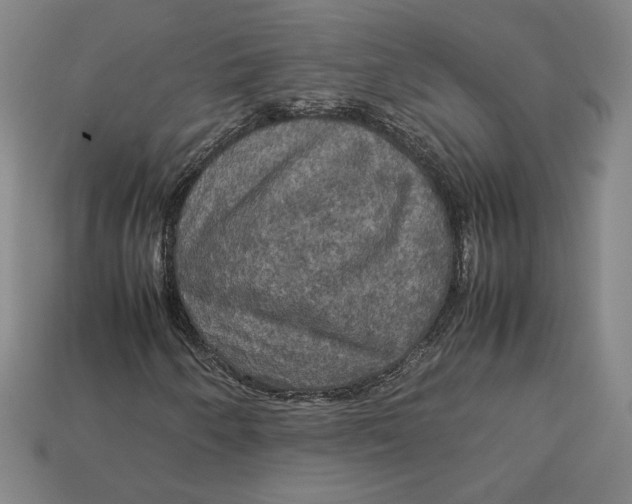 X0000113111250200909181621