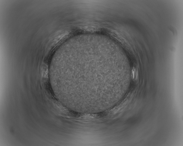 X0000113111251200909181621