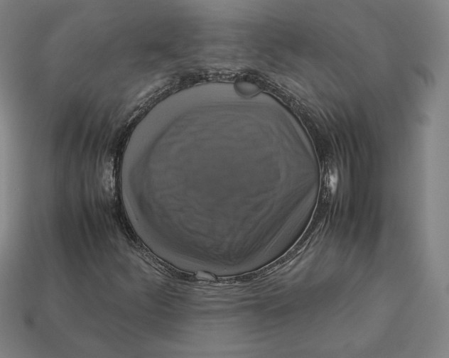 X0000113111252200909181621