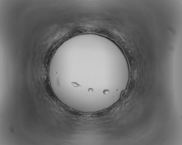 X0000113111253200909181621