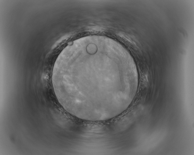 X0000113111254200909181621
