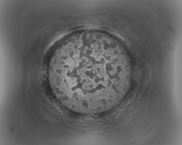 X0000113111255200909181621