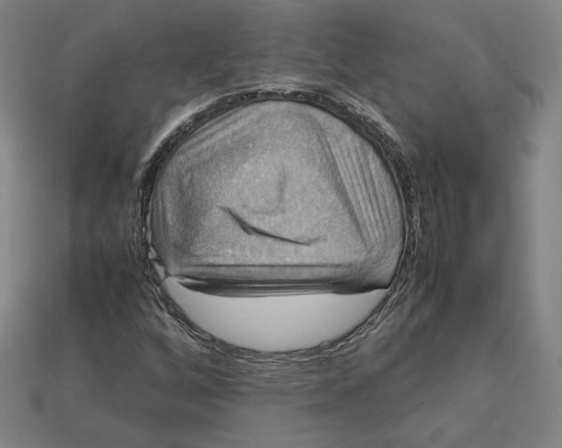 X0000113111256200909181621