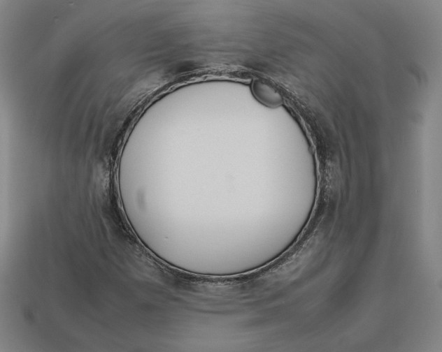 X0000113111257200909181621