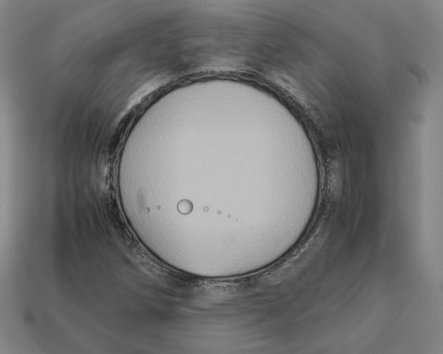 X0000113111258200909181621