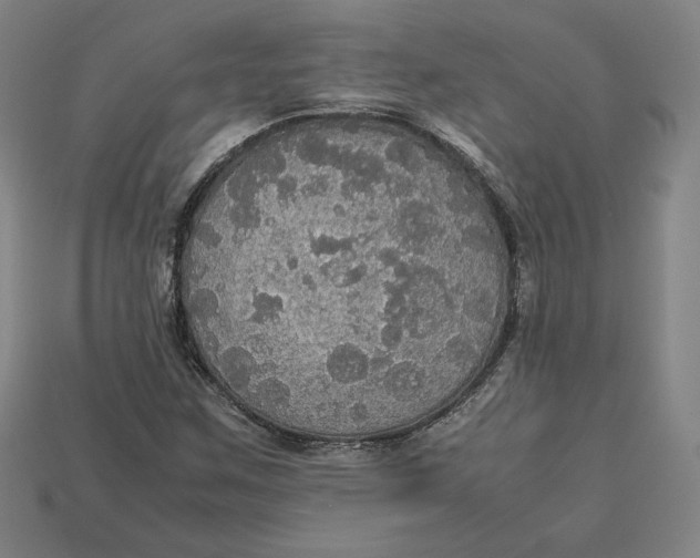 X0000113111259200909181621