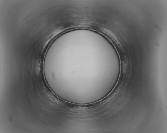 X0000113111260200909181621