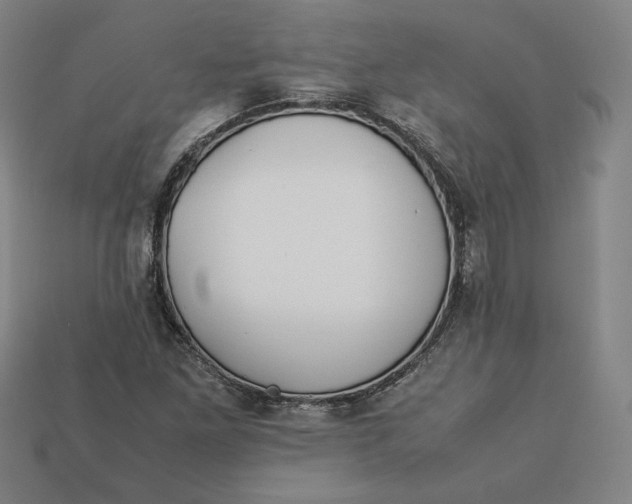 X0000113111261200909181621