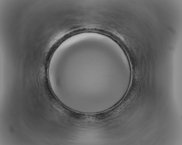X0000113111263200909181621