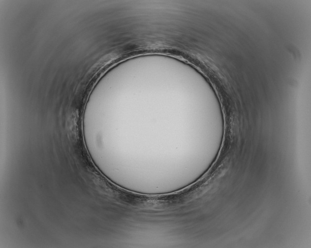 X0000113111265200909181620