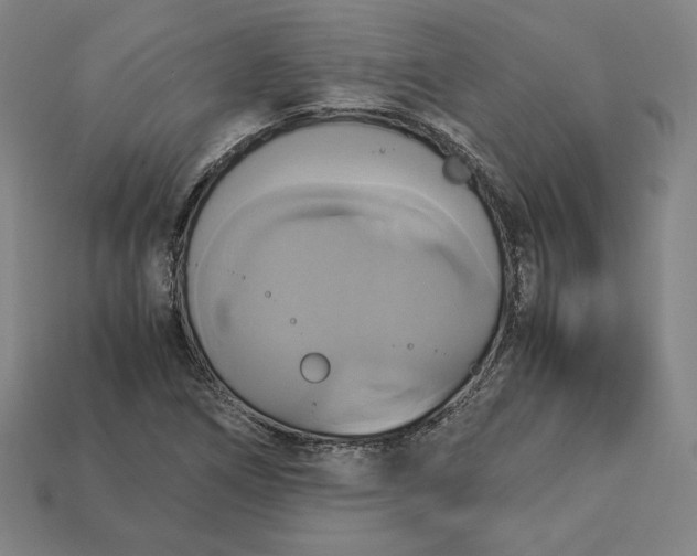 X0000113111266200909181620