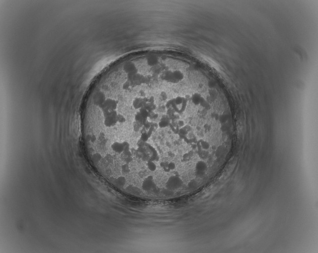 X0000113111267200909181620