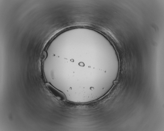 X0000113111268200909181620