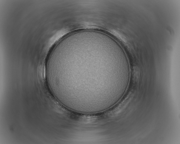 X0000113111269200909181620