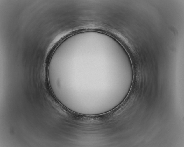 X0000113111270200909181620