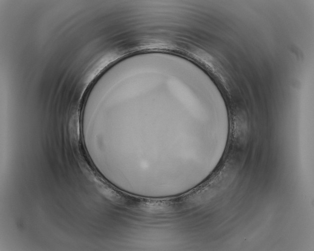 X0000113111274200909181620
