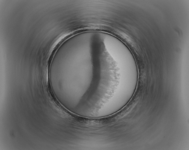 X0000113111275200909181620