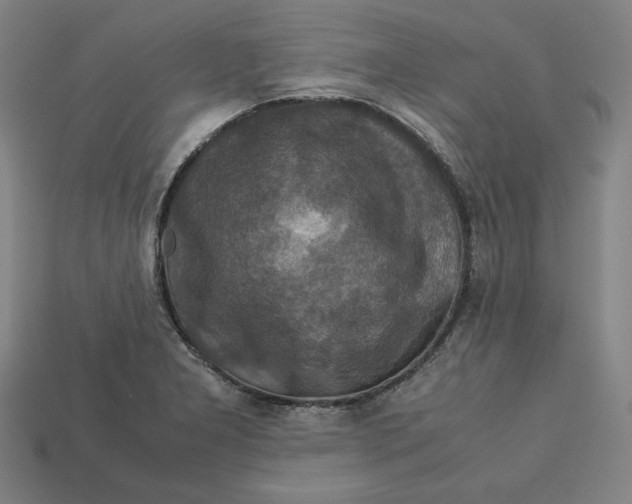 X0000113111277200909181620