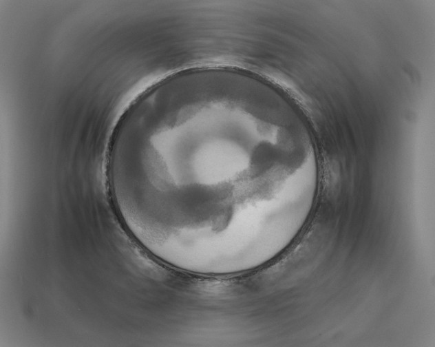 X0000113111278200909181620