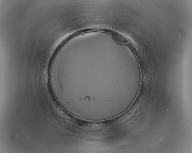 X0000113111279200909181620