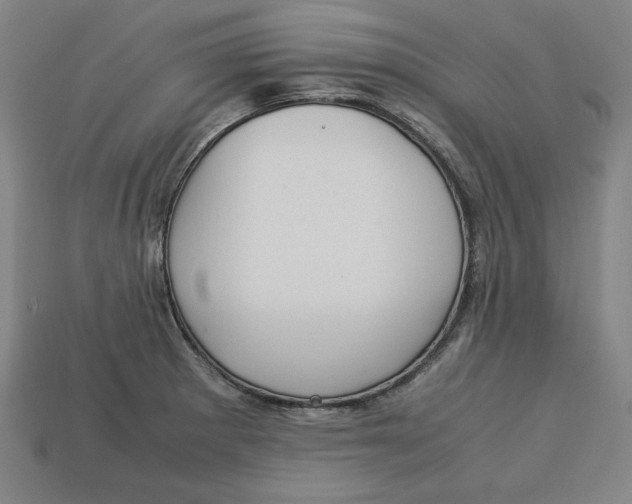 X0000113111281200909181620