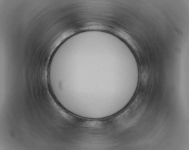 X0000113111282200909181620