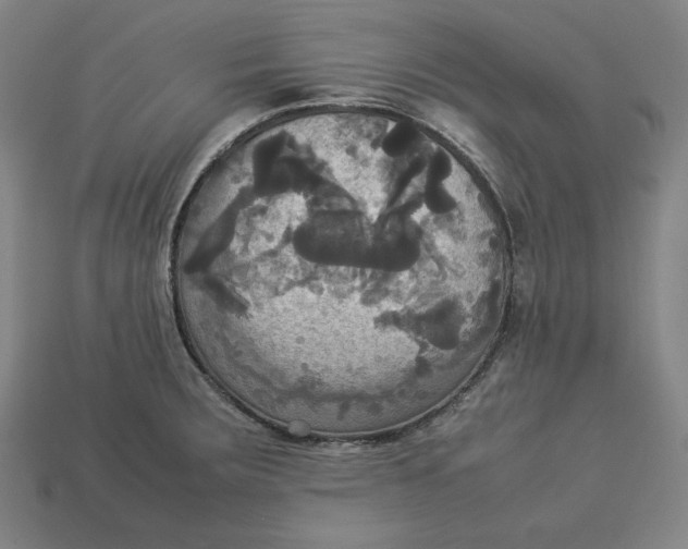 X0000113111283200909181620
