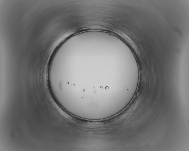 X0000113111285200909181620