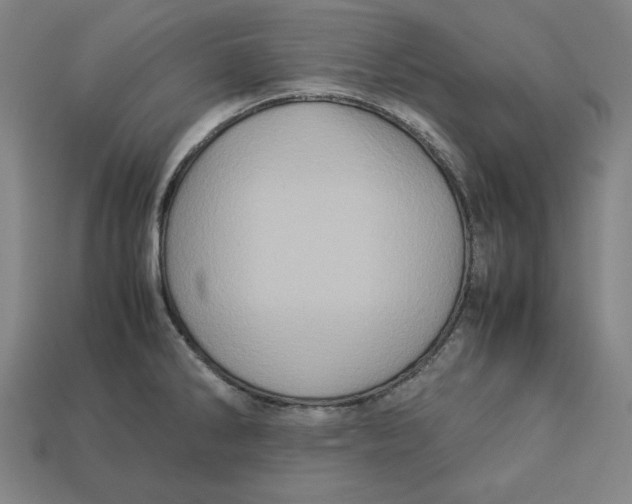 X0000113111286200909181620
