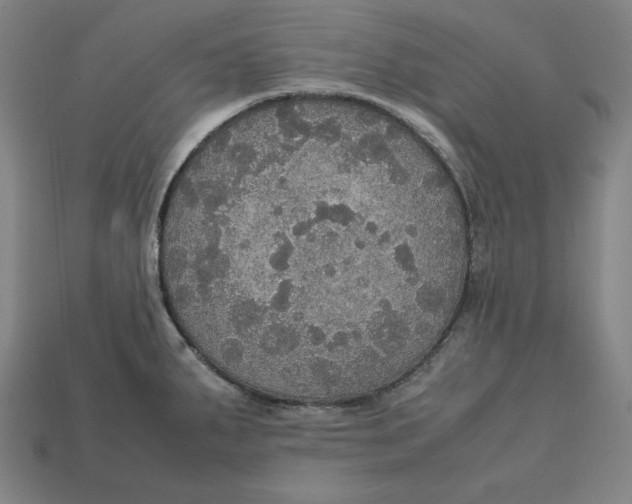 X0000113111287200909181620