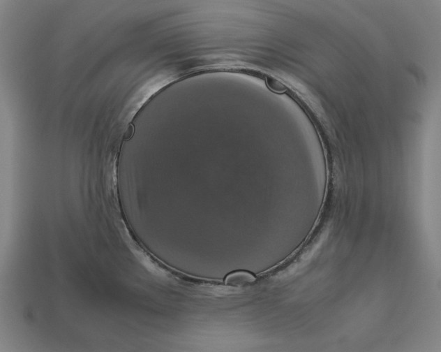 X0000113111289200909181620