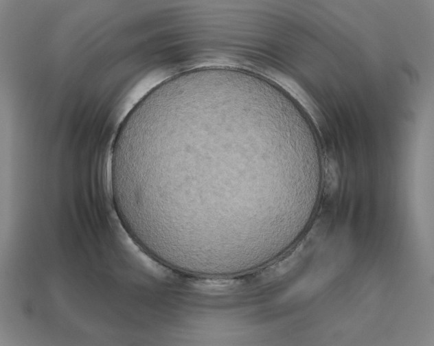 X0000113111290200909181620