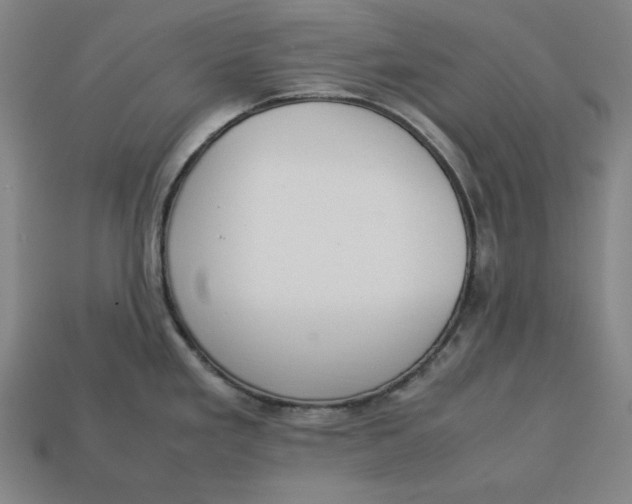 X0000113111293200909181620