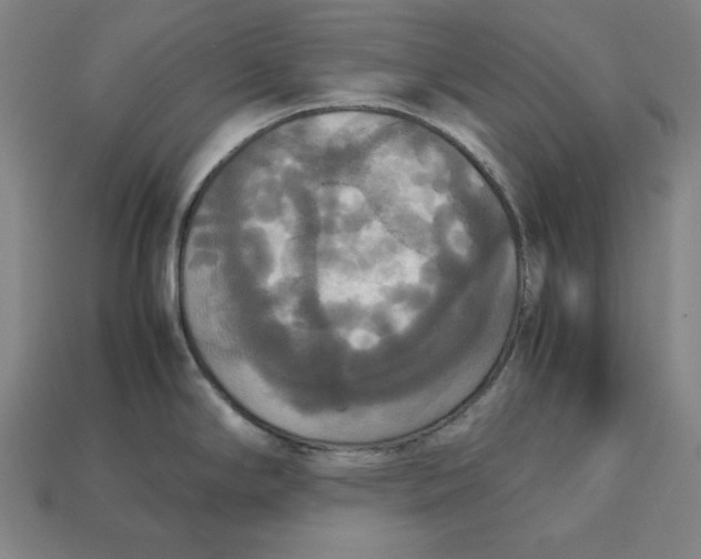 X0000113111294200909181620
