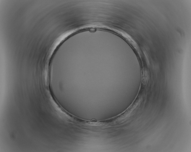 X0000113111295200909181620