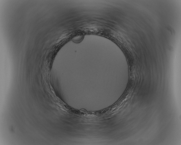 X0000113111297200909181619