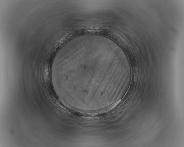 X0000113111298200909181619