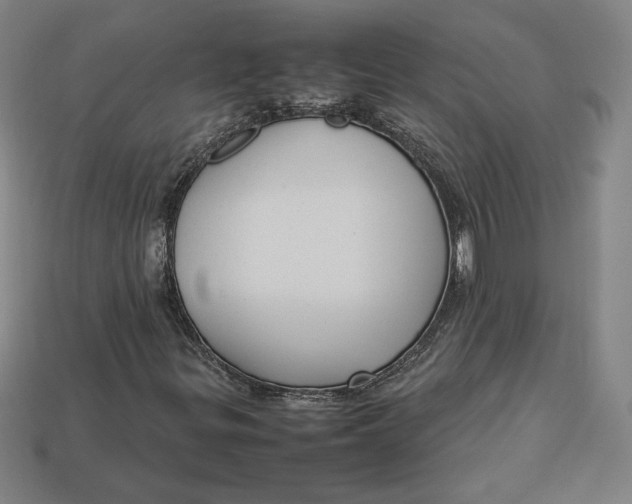 X0000113111299200909181619
