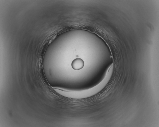 X0000113111300200909181620