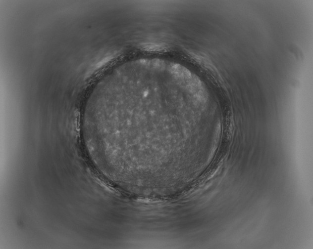 X0000113111301200909181620