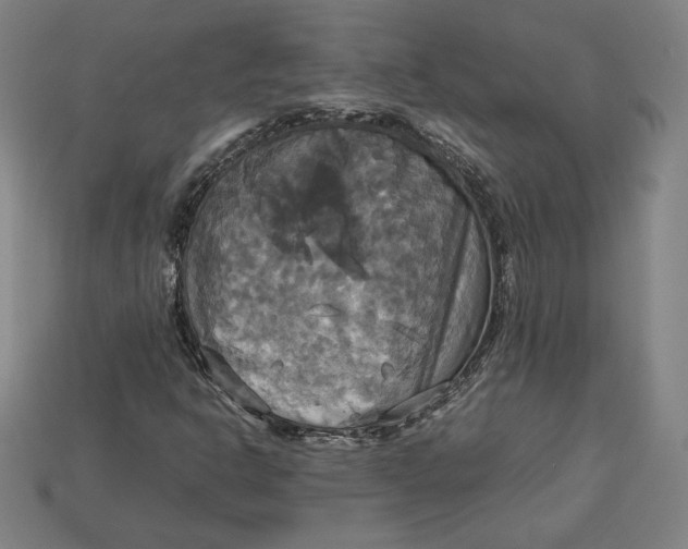 X0000113111302200909181620