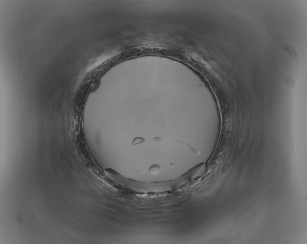 X0000113111303200909181620