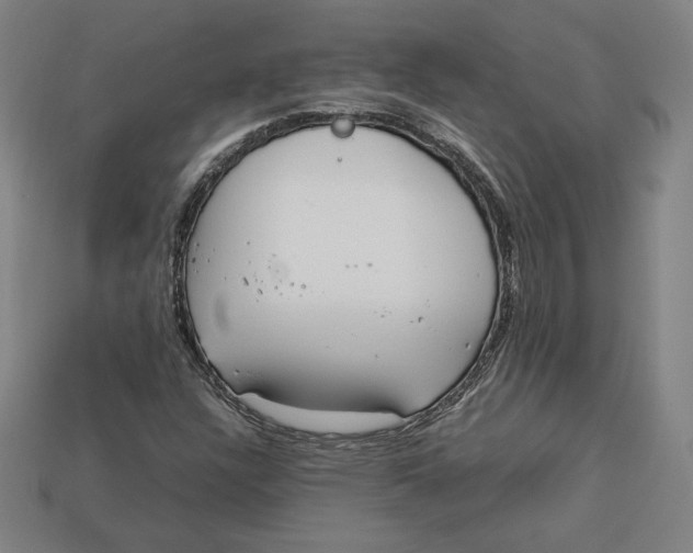 X0000113111304200909181620