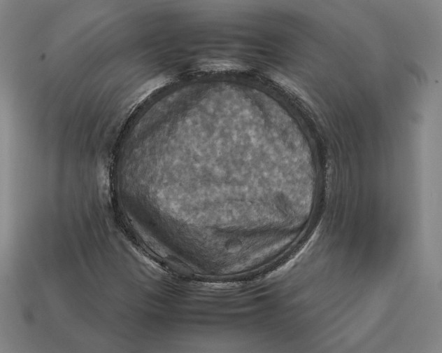 X0000113111305200909181620