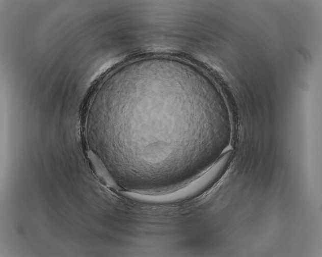 X0000113111306200909181620