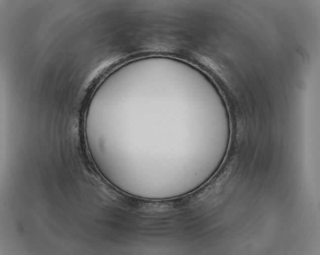 X0000113111307200909181620