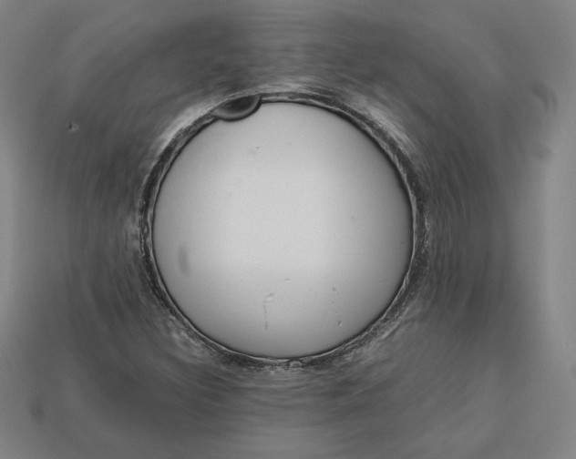 X0000113111308200909181620