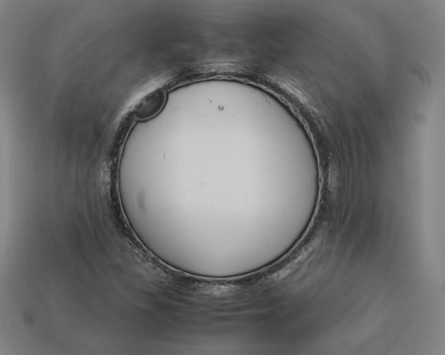 X0000113111309200909181620