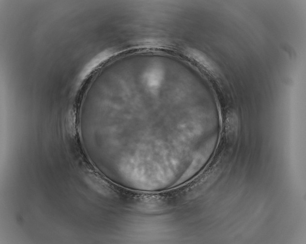 X0000113111310200909181620