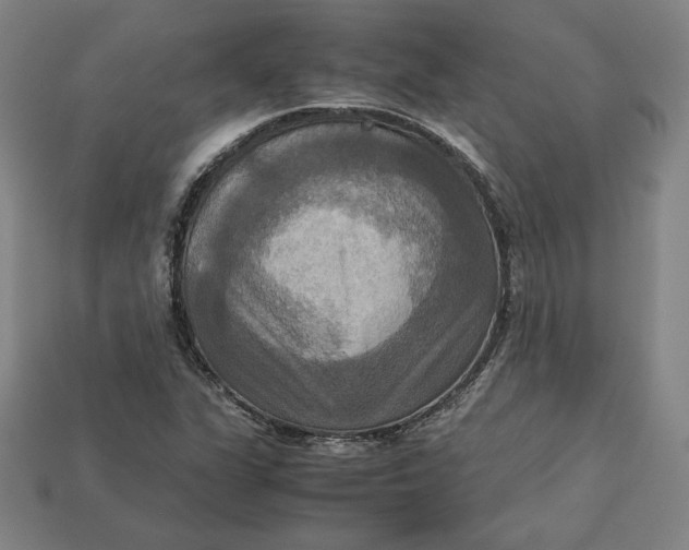 X0000113111311200909181620